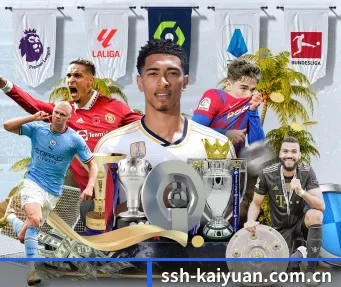 ssh-kaiyuan.com.cn APP